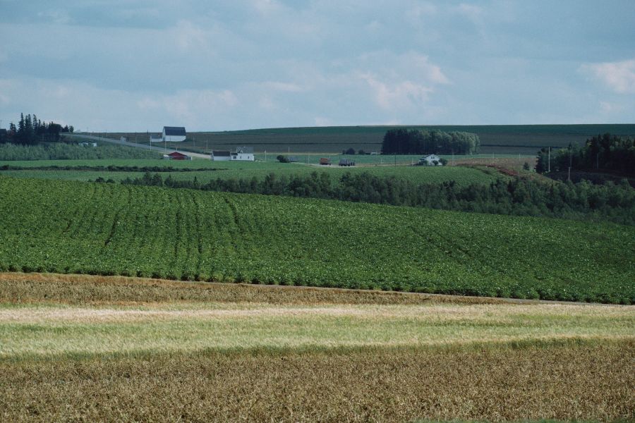 Agricultural landscape in Canada