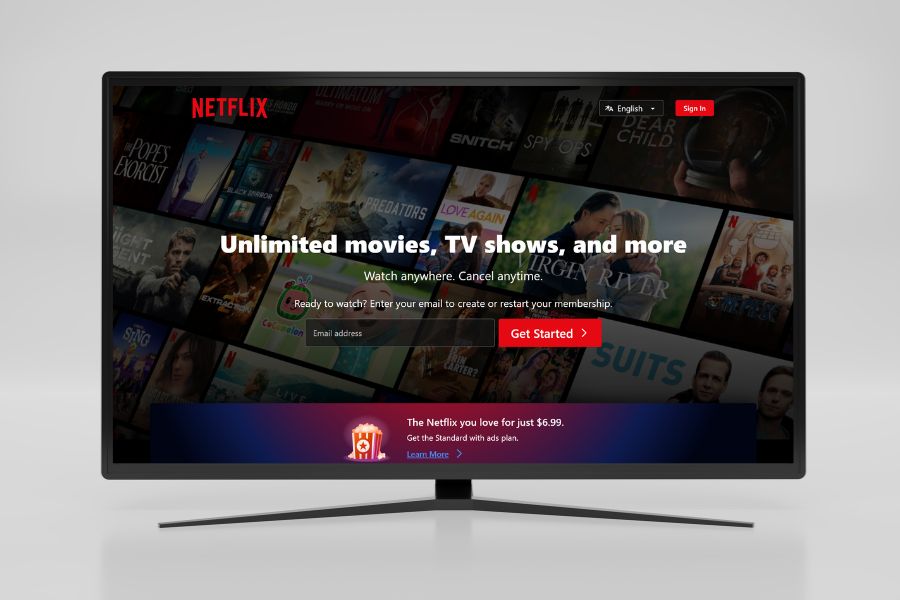 Netflix streaming service